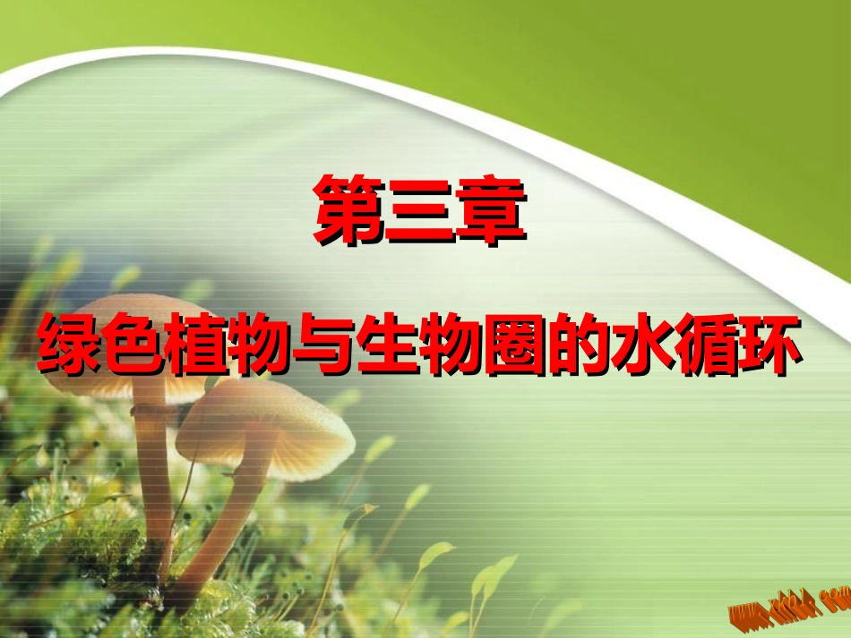 绿色植物与生物圈的水循环_第1页