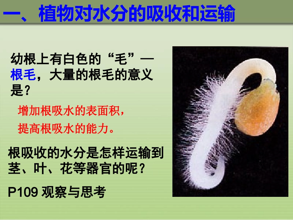 绿色植物与生物圈的水循环_第3页