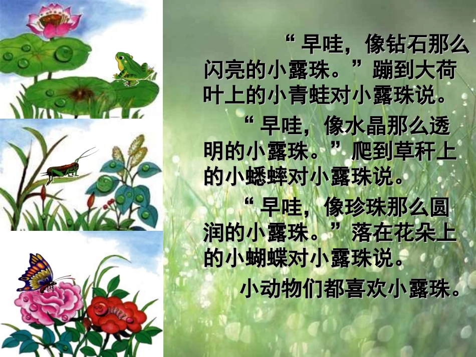 小露珠(2)_第2页