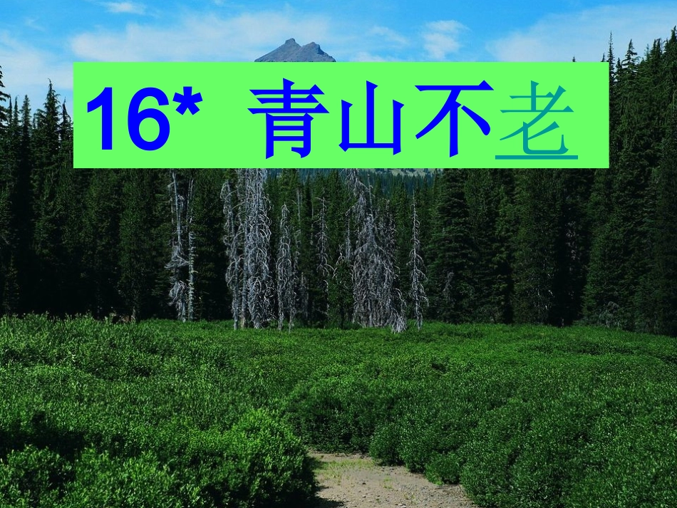 16《青山不老》_第1页