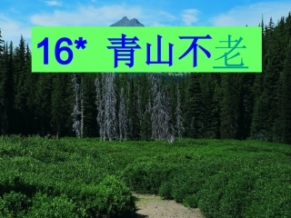 16《青山不老》