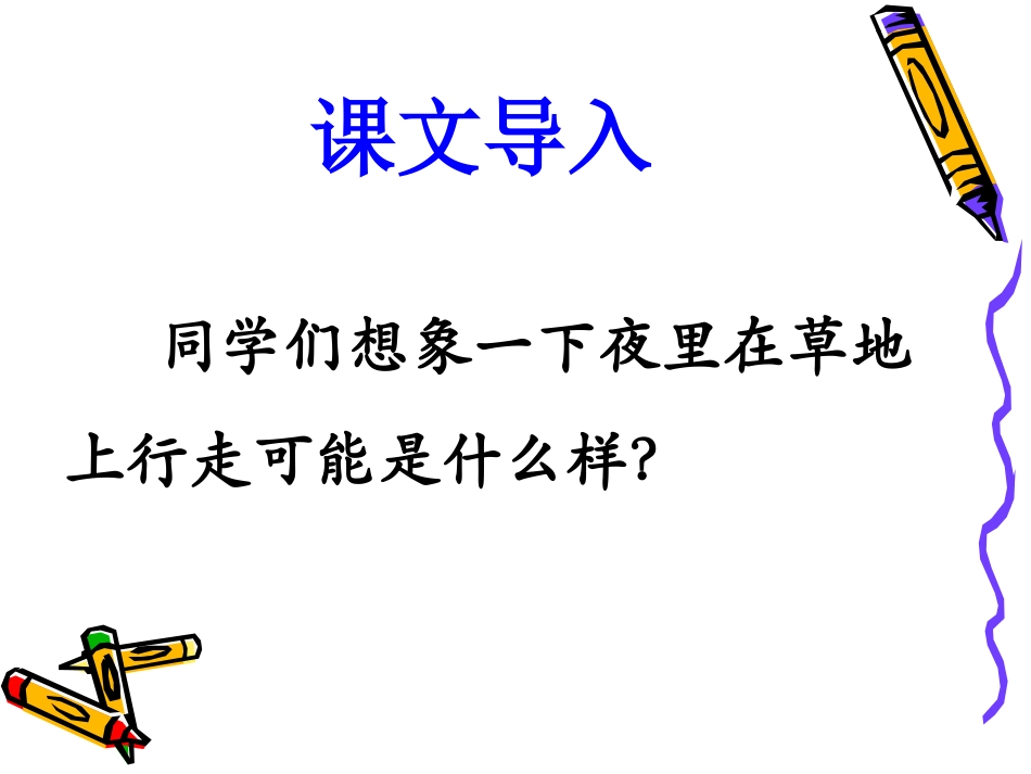 《草地夜行》课件2_第2页
