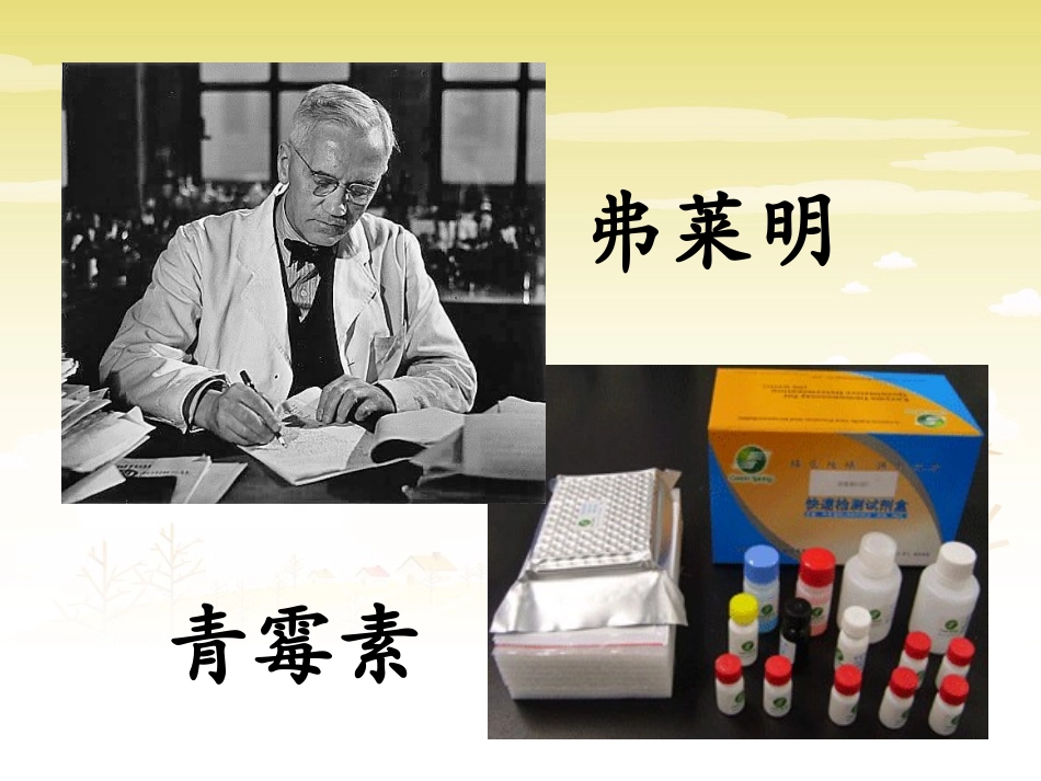 富有智慧的他们_第3页