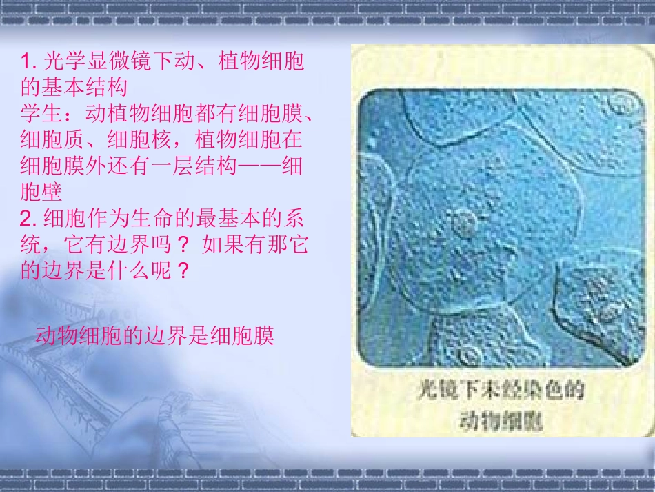 3.1-细胞膜—系统的边界-课件-陈维新_第3页