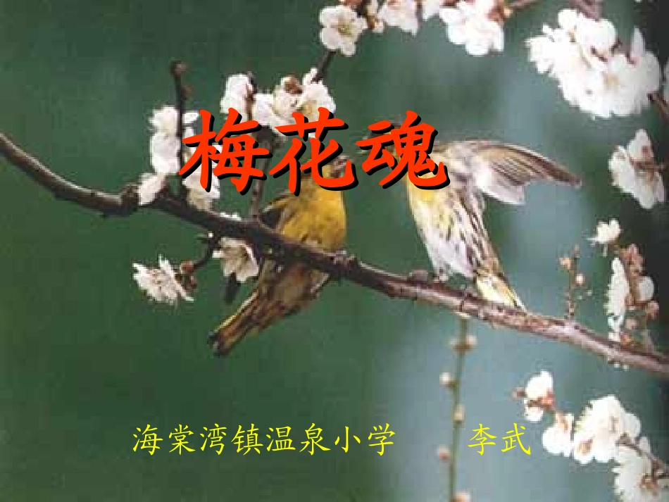 人教版五年级语文《梅花魂》课件_第1页