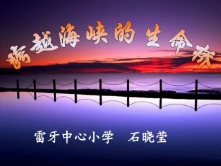 跨越海峡的生命桥-(3)