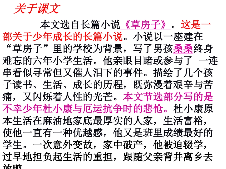 10、《孤独之旅》_第3页