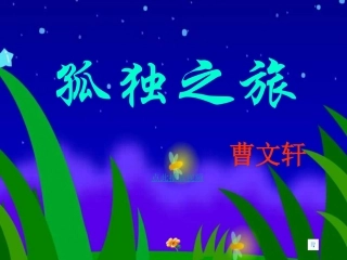 10、《孤独之旅》