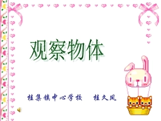 人教版二年级数学上册《观察物体》PPT课件(2)