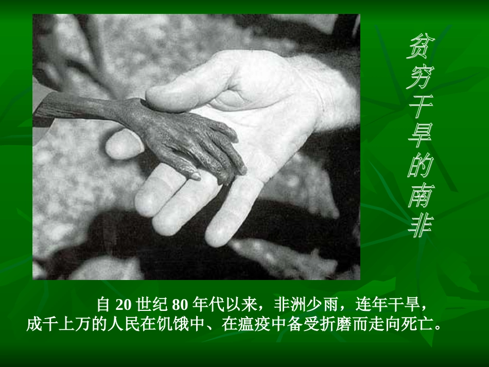 《阳光皮肤》PPT课件_第3页