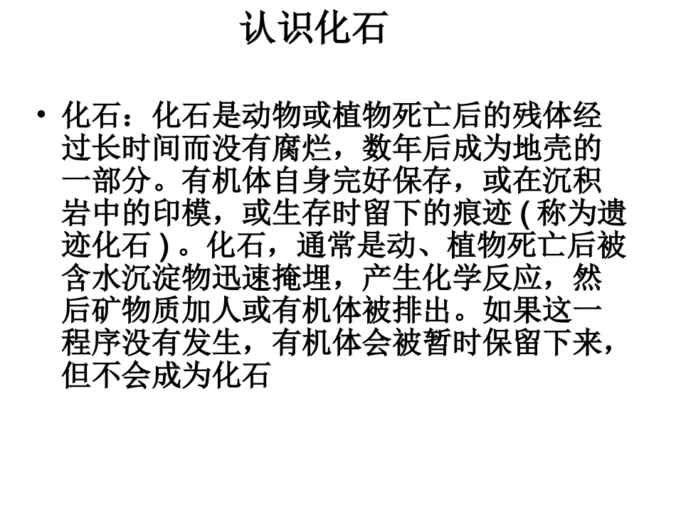 《课件化石吟》wyf_第3页