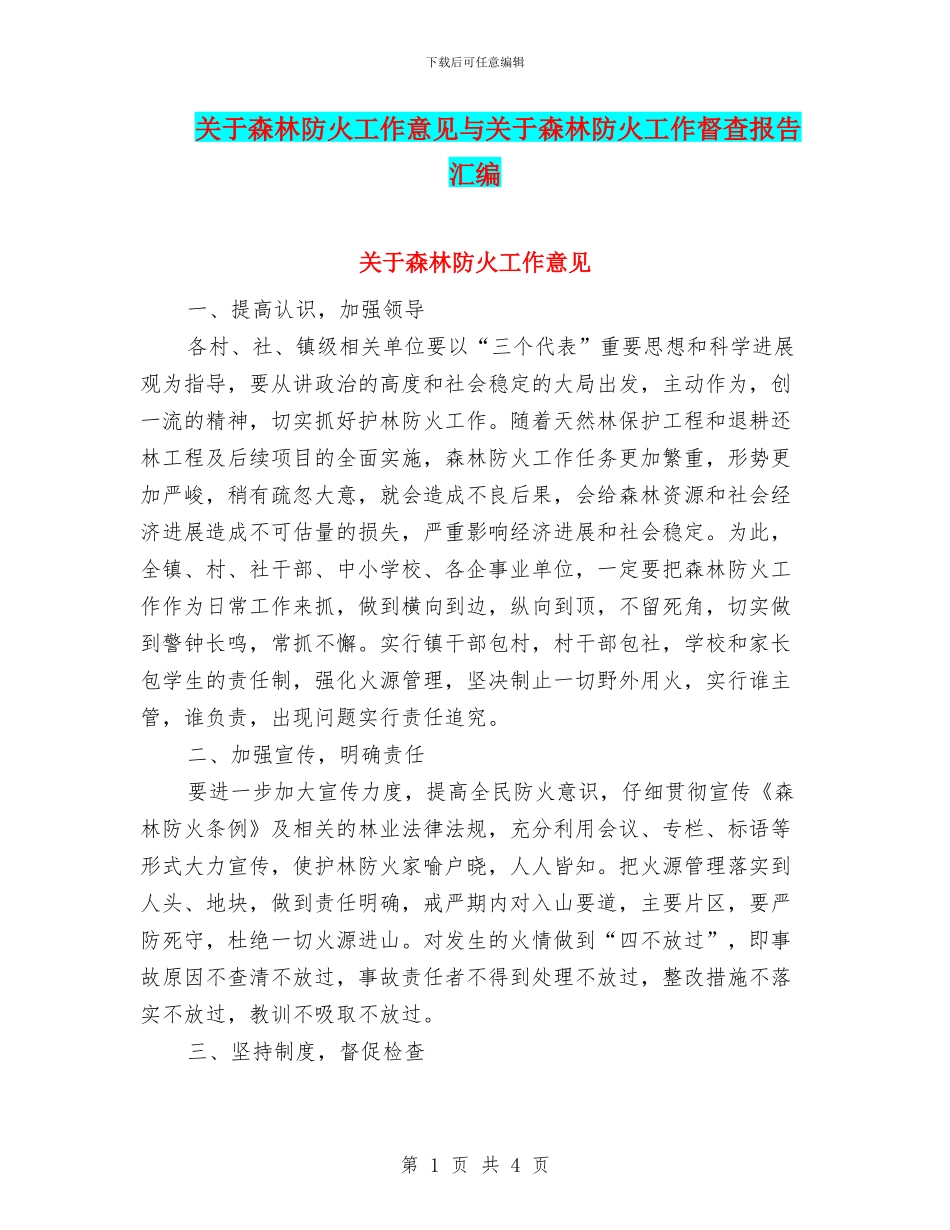关于森林防火工作意见与关于森林防火工作督查报告汇编_第1页