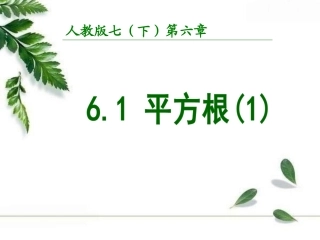 人教版七年级数学册第六章6.1-平方根(1)