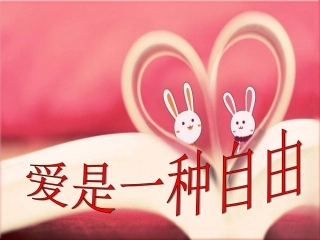 爱是一种自由