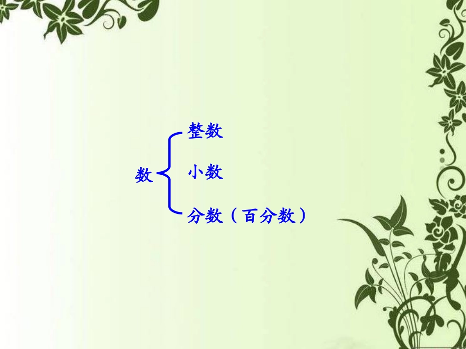 人教版六年级数学下册第六单元第一课时-数和代数—整数_第3页