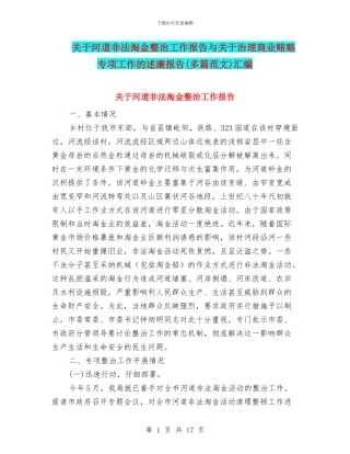 关于河道非法淘金整治工作报告与关于治理商业贿赂专项工作的述廉报告汇编
