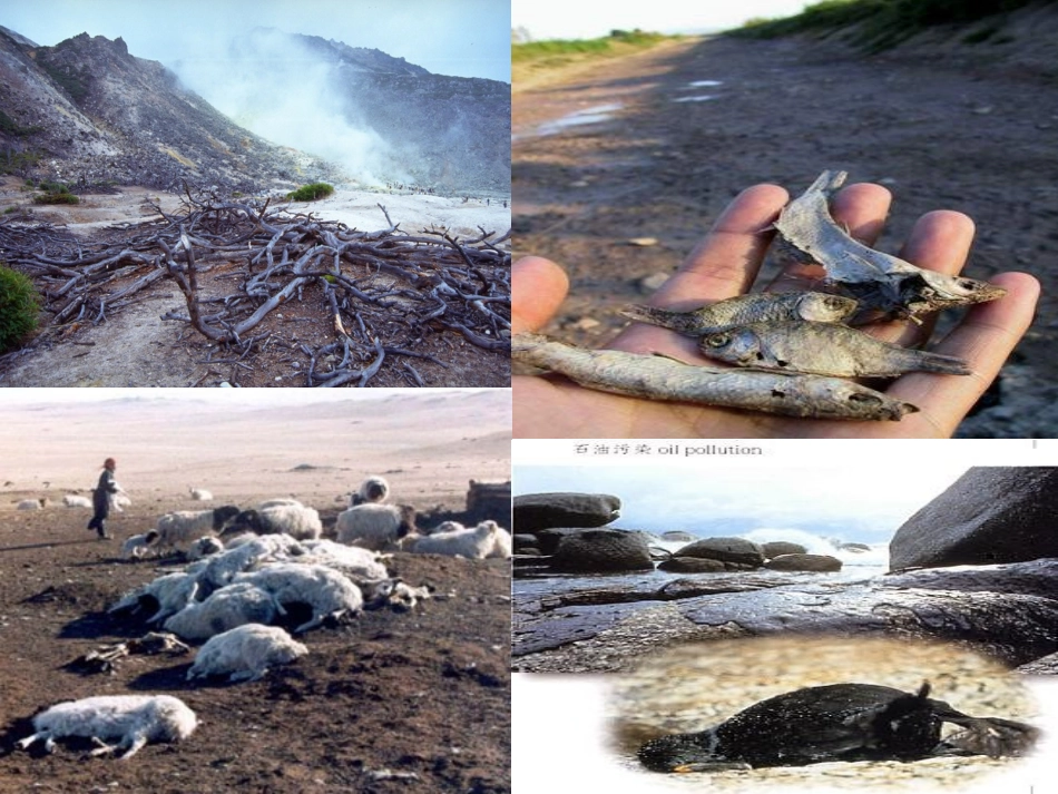 七颗钻石完整教案_第1页