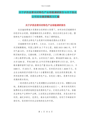 关于泸西县青禾村特色产业培植调研报告与关于洗化公司安全演讲稿范文汇编