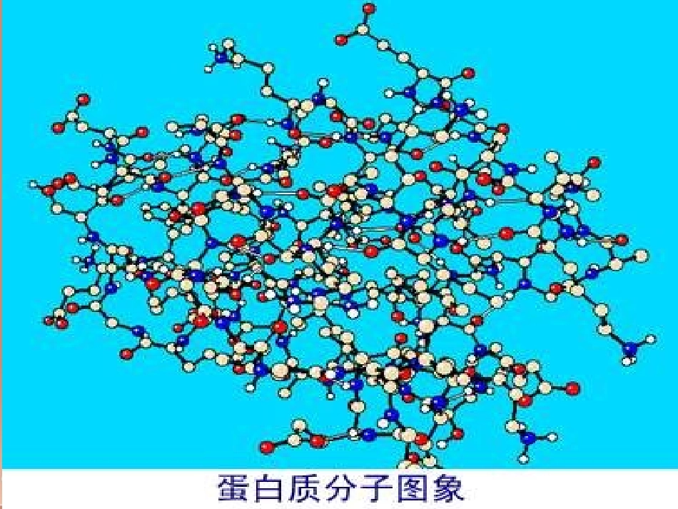 508蛋白质_第3页