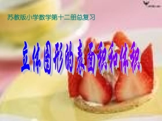 立体图形的表面积和体积(1)
