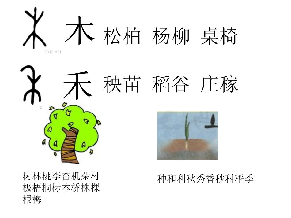 苏教版第四册识字3_第2页