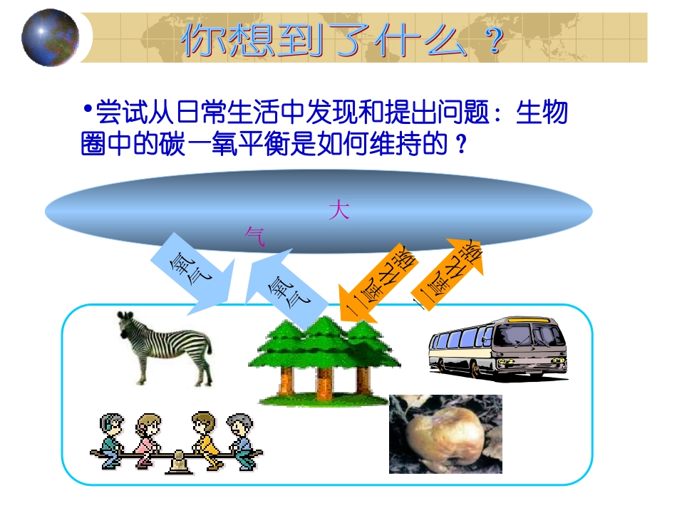 41绿色植物与生物圈中的碳氧平衡_第3页