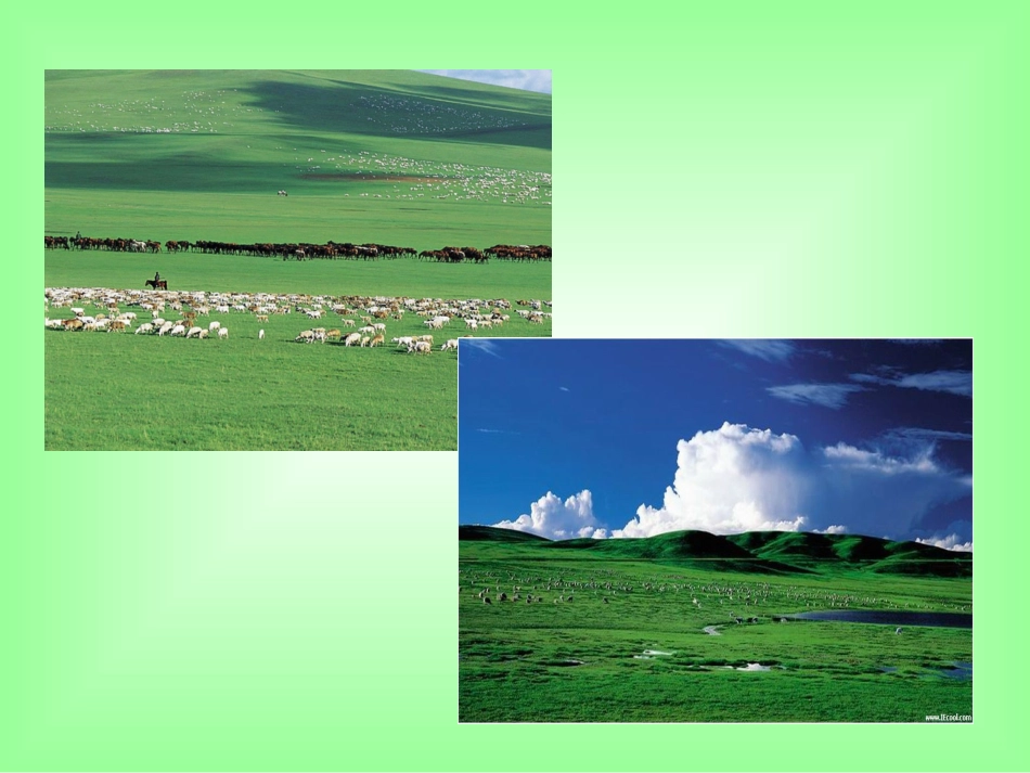 草原ppt课件4_第2页