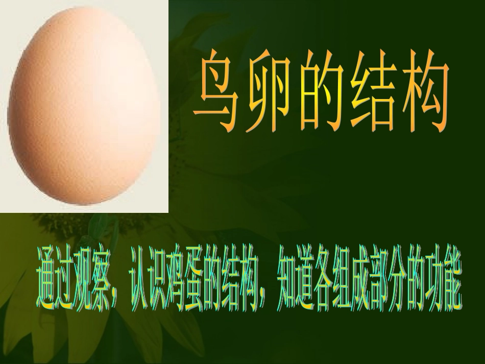 人教版八下第一章第四节鸟的生殖和发育(共49张PPT)_第3页