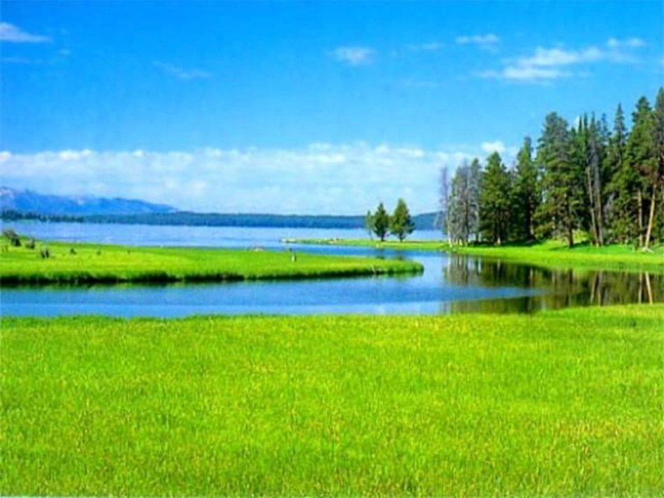 人教新课标音乐五年级上册《彼得与狼》PPT课件_第3页