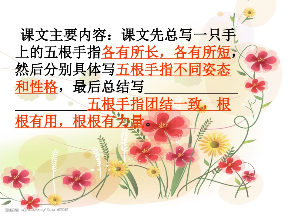 《手指》ppt_第3页