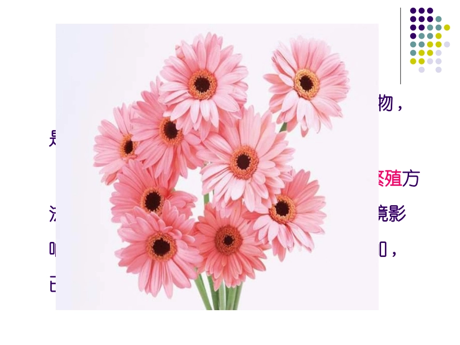 人教版高中生物选修3专题二-212植物细胞工程的实际应用_第2页