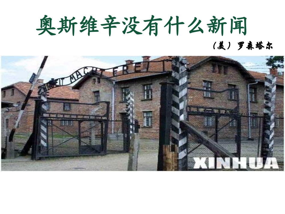 奥斯维辛没有什么新闻YPPT_第2页