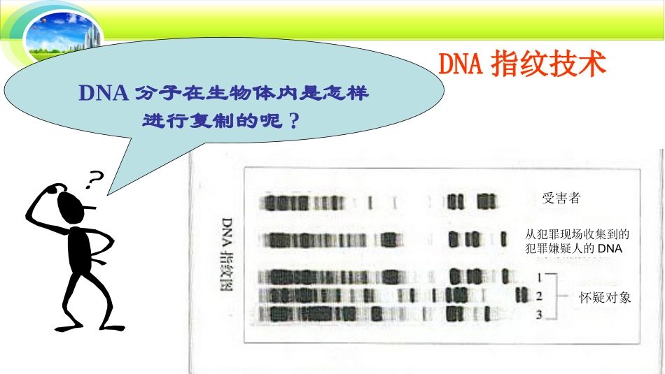 3.3DNA的复制(5.11)_第1页