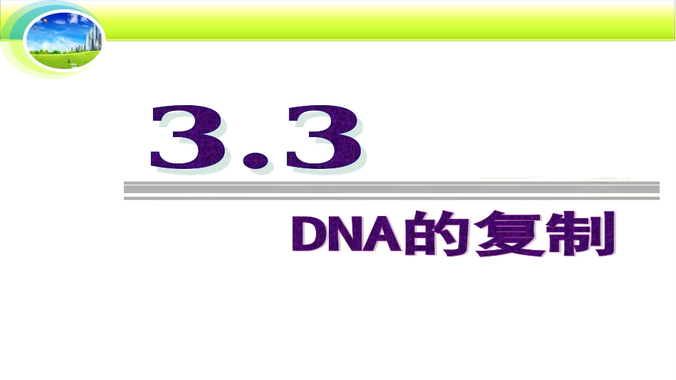 3.3DNA的复制(5.11)_第2页