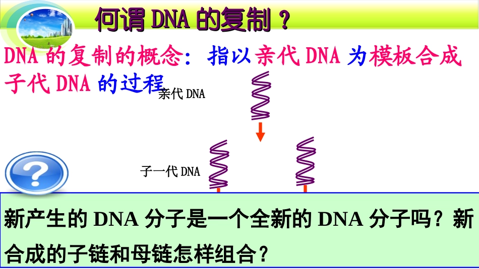 3.3DNA的复制(5.11)_第3页