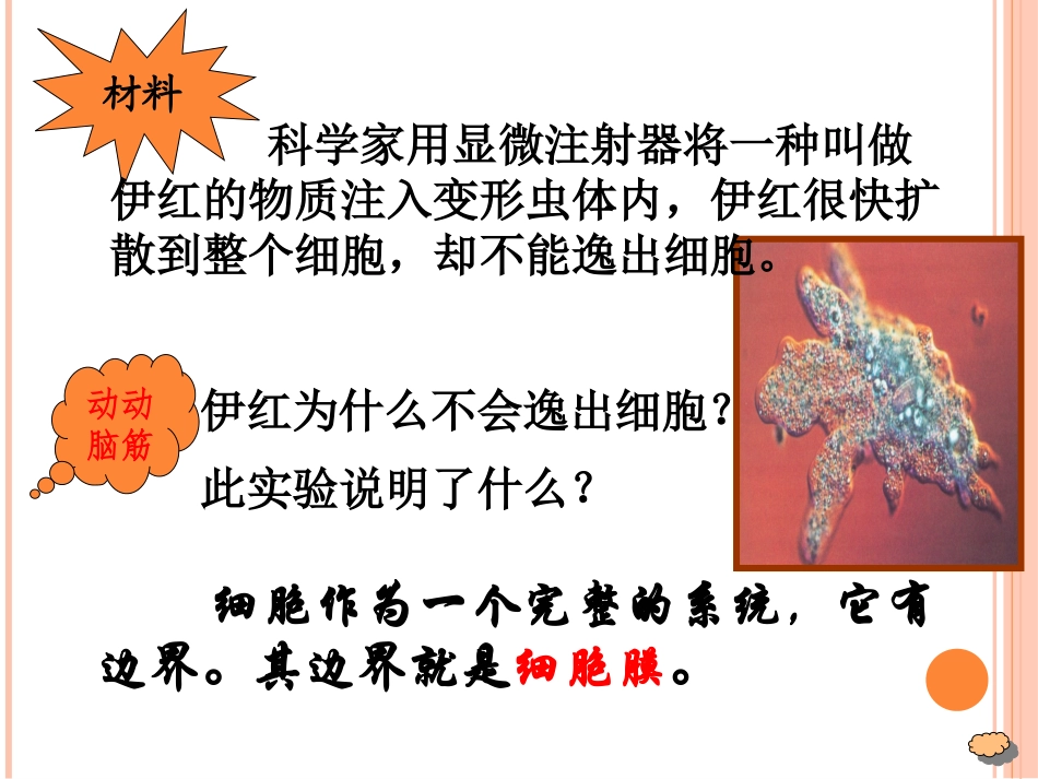 细胞膜—系统的边界_第3页