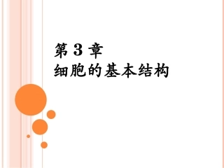 细胞膜—系统的边界