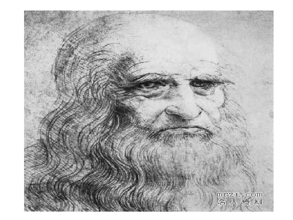 人教版六年级上册27蒙娜丽莎之约_第3页