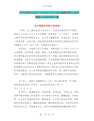 关于班组长年终工作总结与关于电台编辑部职工试用期转正总结报告汇编