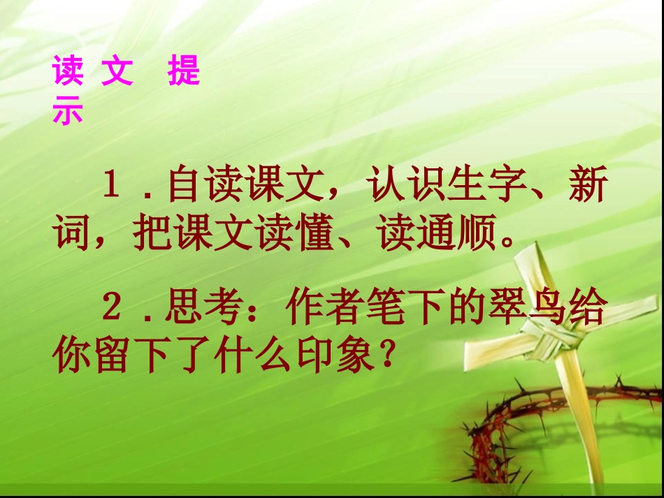 1翠鸟课件1_第3页