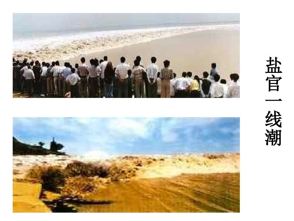 《观潮》1111_第3页