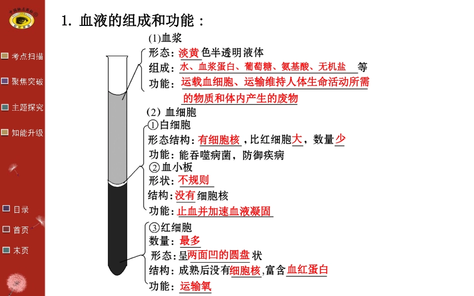 人体内物质的运输复习2015肖鹏_第3页