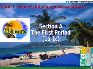 SectionA课件