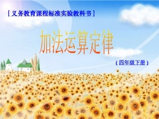 人教2011版小学数学四年级加法运算定律的应用