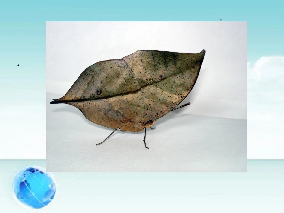 动物的特殊本领_第2页