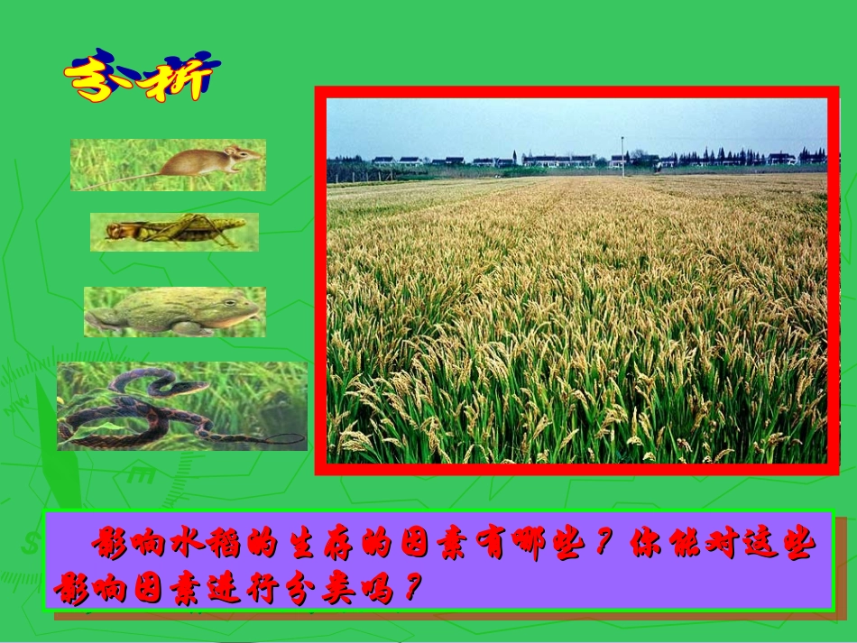 第1单元第2章第1节生物与环境的关系_第3页