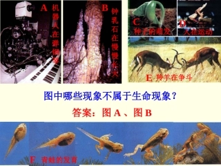 第1单元第2章第1节生物与环境的关系