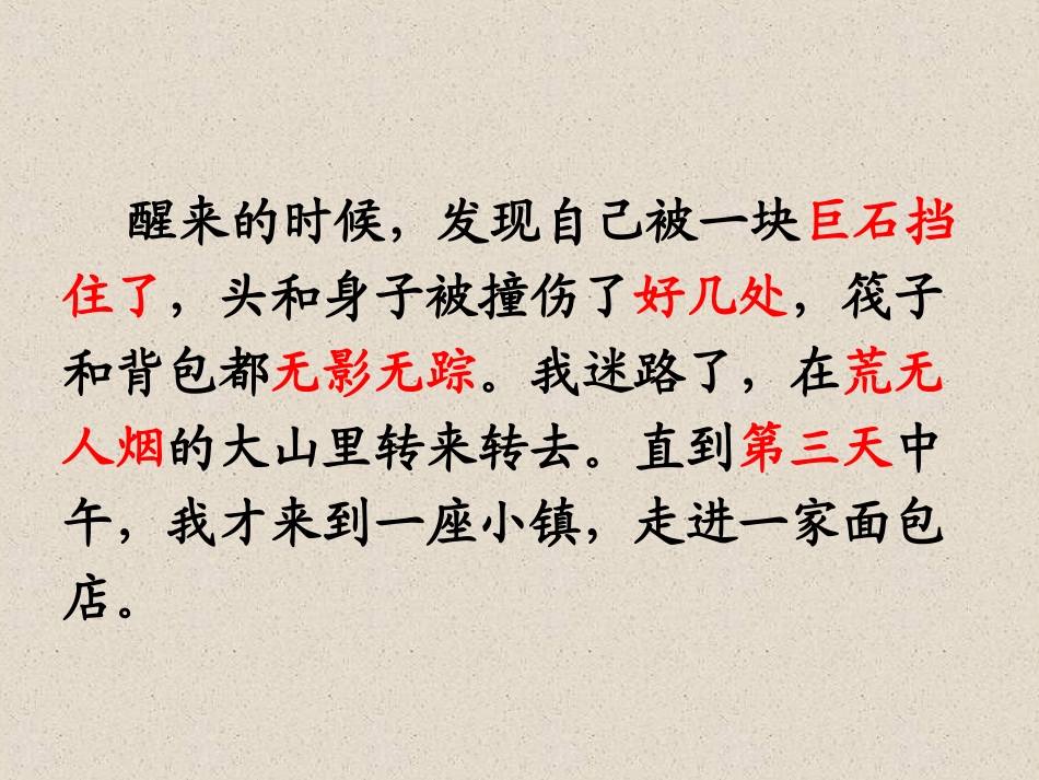 人教新课标三年级语文下册《一面五星红旗5》PPT课件_第3页