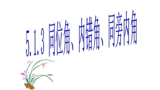 同位角、内错角、同旁内角课件-(2)