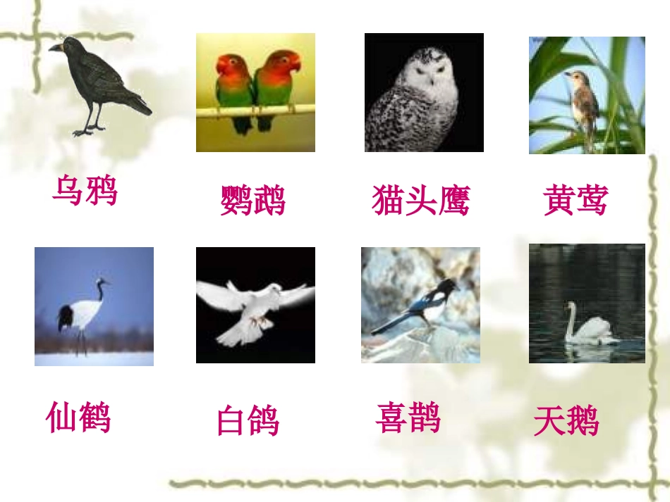 小学语文一年级课件-部首歌-沪教版_第1页